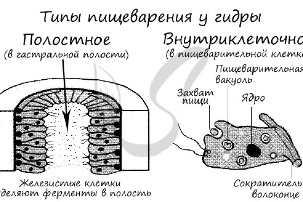 Не могу зайти на аккаунт блэкспрут