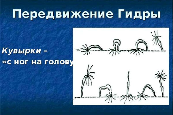 Блэкспрут даркнет