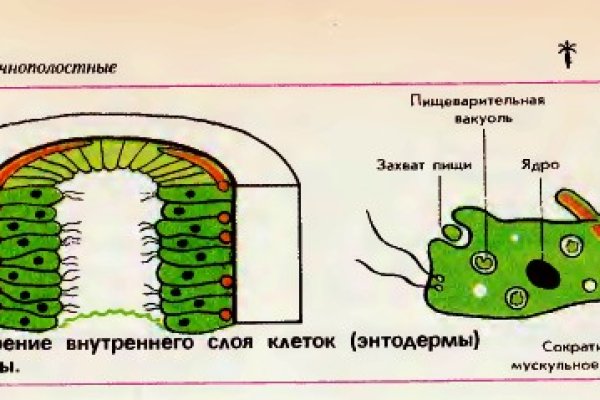 База блэкспрут с адресами