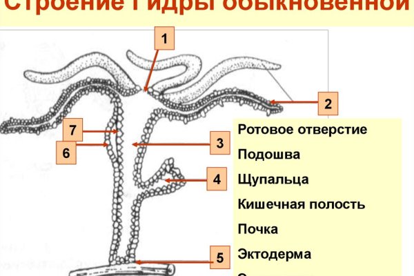 Ор blacksprut